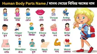 Human Body Parts Name Bengali & English with Pictures | মানব দেহের অঙ্গ | Name of Body Parts