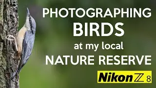 A fabulous morning photographing birds with my Nikon Z8