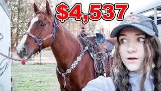 $4,537 VS $865 TACK SET!