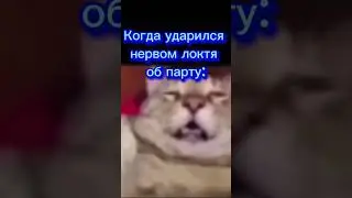 Рука слетела #meme #memes #funny #dankmemes #memesdaily #funnymemes #lol #shorts