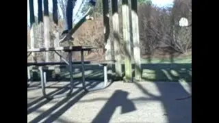 brians skate video