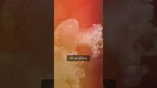 the ark فيروز