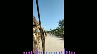 तेरी गली se Song