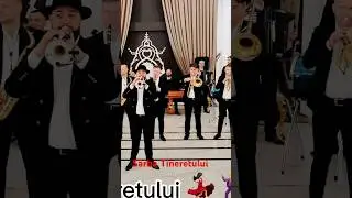 Sârba Tineretului Radu arap