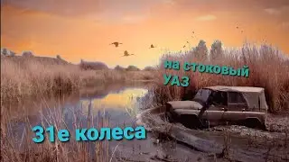 Forward Safari 500 31\10.5\15 на стоковый уаз