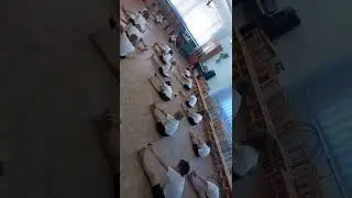 Любопытные мордочки котят