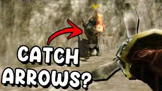 I Busted 20 Myths In Zelda Twilight Princess! #1