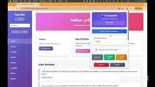 Test Your Website Translation with Just One Click