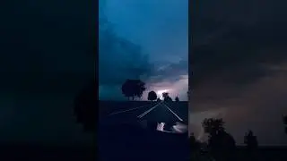 Вышел ежик погулять