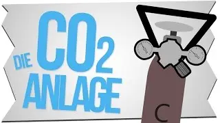 CO2 ANLAGE EINFACH ERKLÄRT | SO FUNKTIONIERT EINE CO2 Anlage | GarnelenTv