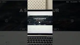 ➡️Just embed asoftmurmur.com on your Notion page 