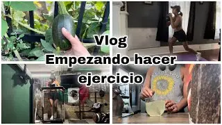 Vlog / dándole duro al ejercicio / mis cosechas de otoño 