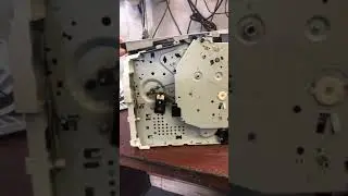 HP P1566 треск