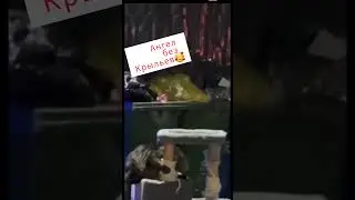 Маленькое ❤️