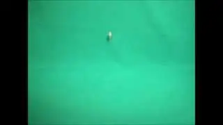 FOOTAGES GreenScreen - Bullet Shell/Fly [GLOCK BULLET]