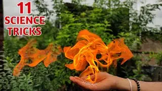 11 Amazing Science Experiments to do at home || Easy Experiment Do At Home || Science Tricks