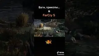 Баги, Приколы в FarCry 5