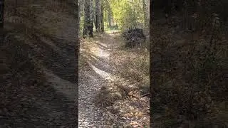 24 сентября 2024 г.