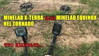 METAL DETECTOR Minelab Equinox or Minelab X-Terra with Nel Tornado
