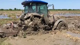 Massey Ferguson 286 Gold + New Holland TD75 Çamurda Çeltik Tarlası Hazırlaken 