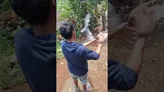 Nengokin kandang reot merpati