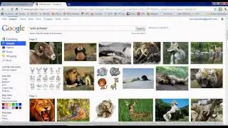 Tutorial how to save images to file.avi