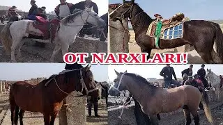 17-Октябр Сурходарё Сариосиё Пайшанби От Бозор ва Мол бозор Нархлари