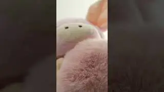 Fluffy mic brushing asmr by a pig puppet