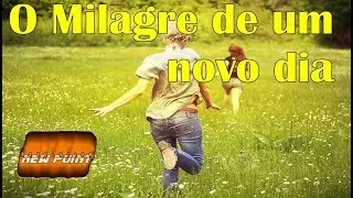Reflexão O Milagre de um novo dia Narrado