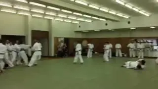 2017 Kyokushin-kan Karate Black Belt Instructors Seminar Warmup