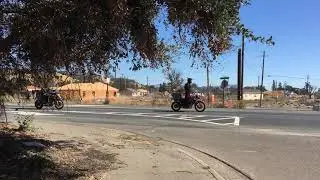 Kot and California Fire