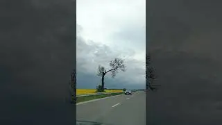 Траса зі Львова в Трускавець 