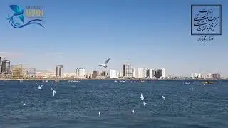 Персидский залив