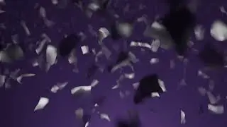 Blender confetti simulation