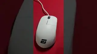 Why TenZ sometimes uses the Endgame Gear XM1