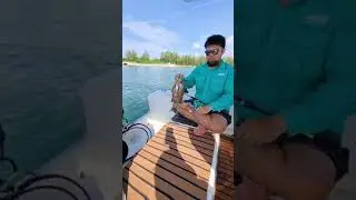 Trolling in Changi, Singapore (Fishing)