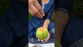 Masala Guava With Salt & Chilli😋 Believe me, it is mouth-watering🤤🔥#shorts