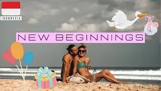 New house and new dogs in BALI 2021- VLOG