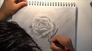 Comó dibujar una rosa