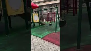 Вместе веселее