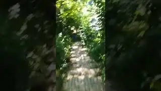 Спуск к реке Курджипс. Поселок Мезмай