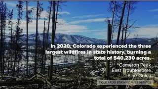 2020 Report on the Health of Colorado's Forests
