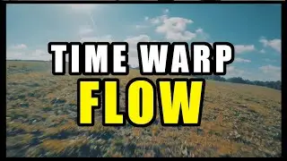 TIME WARP FLOW | DJI FPV System + EMUFlight @ 6S | FPV FreeStyle by Davide FPV