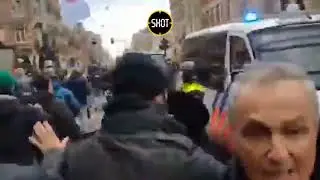 Полицейские Амстердама используют служебных собак.