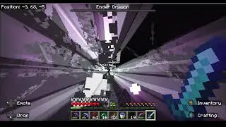 I Took A Gang Of Cats With Me To Help Defeat The Ender Dragon For My First Time In Survival Mode!