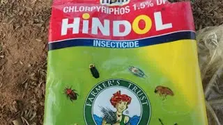 HPM Hindol Insecticides/ Chlorpyriphos 1.5% DP/ हिन्डाॅल किटनाशक/ इमारती लकड़ी की दीमक की असरदार रोक