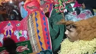 आदिवासी होलि 🔥इतनी बड़ी गैर👹 कभी नहीं देखी होंगी