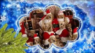 Прикольное видео поздравление С Новым Годом 2017, народ! ~ Funny video Happy New Year 2017 people!