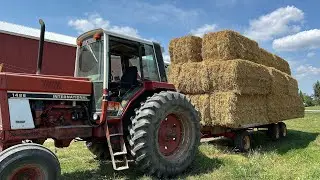 Straw Bales Going Into the Shed!