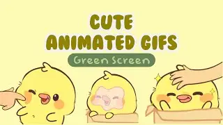 Cute Animated GIFs | Green Screen✿